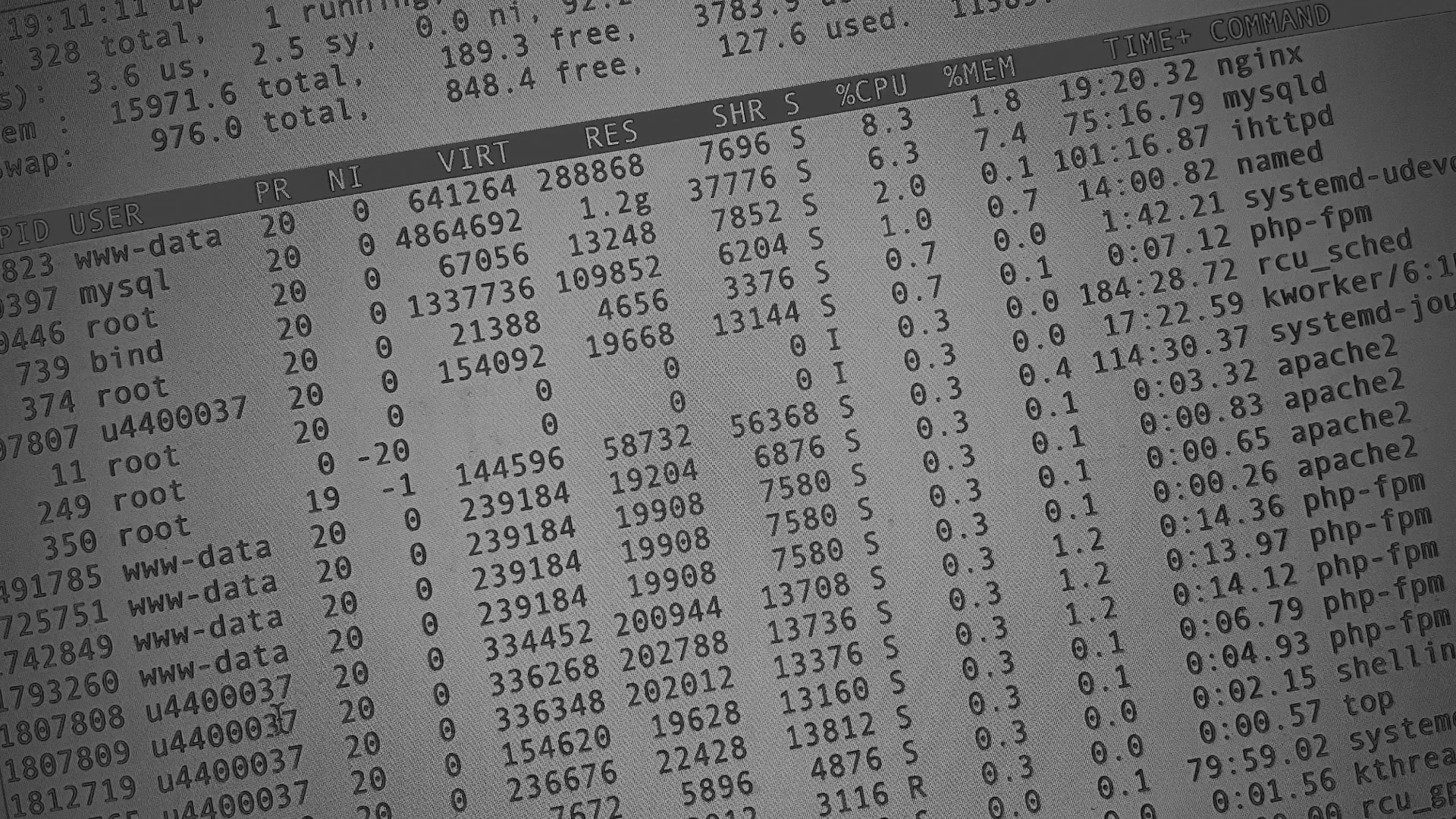 Настройка сервера в Сенгилее Настройка сервера в Сенгилее